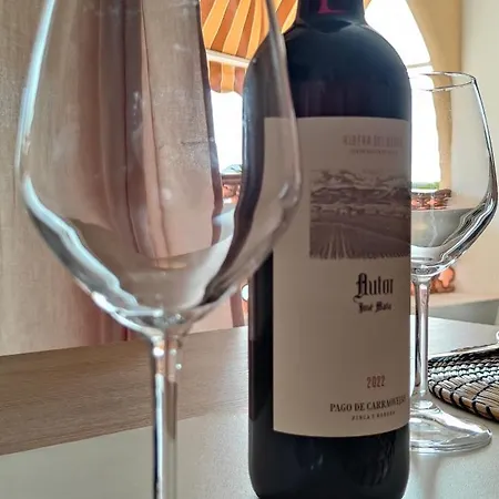 Flamingo Palmar Apartment