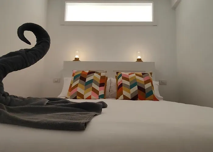 Flamingo Palmar Apartmán